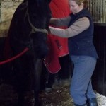 equine physiotherapy - mobilising a stiff neck